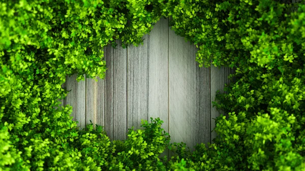 Beau Fond Été Avec Des Feuilles Espace Blanc Rendu Illustration — Photo