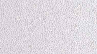 Beyaz dokular, rahatlama ve daireler. 3d görüntüleme, 3d illüstrasyon.