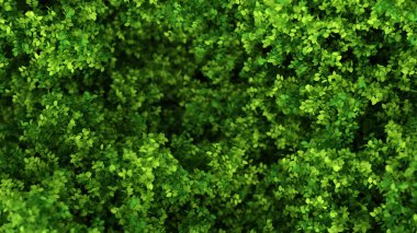 Yapraklarla dolu güzel bir yaz geçmişi var. 3d görüntüleme, 3d illüstrasyon.