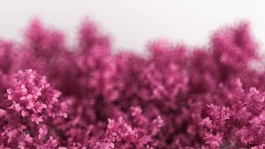 Yılın mevsimi, beyaz yapraklı, güzel pembe arka plan. 3d görüntüleme, 3d illüstrasyon.