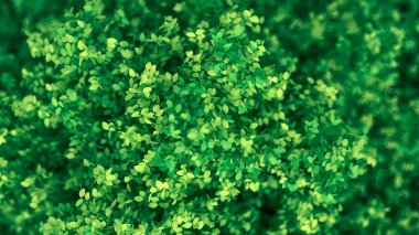 Yapraklarla dolu güzel bir yaz geçmişi var. 3d görüntüleme, 3d illüstrasyon.