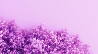 Yılın mevsimi yapraklı, güzel mor bir arka plan. 3d görüntüleme, 3d illüstrasyon.