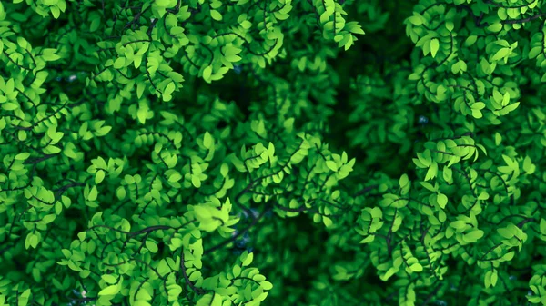 Beau Fond Été Avec Des Feuilles Rendu Illustration — Photo