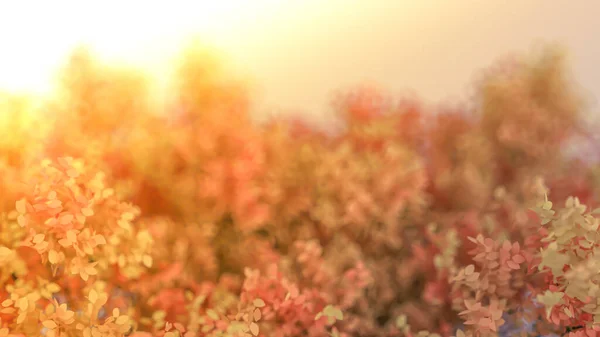 Hermoso Fondo Otoño Con Hojas Espacio Blanco Representación Ilustración — Foto de Stock