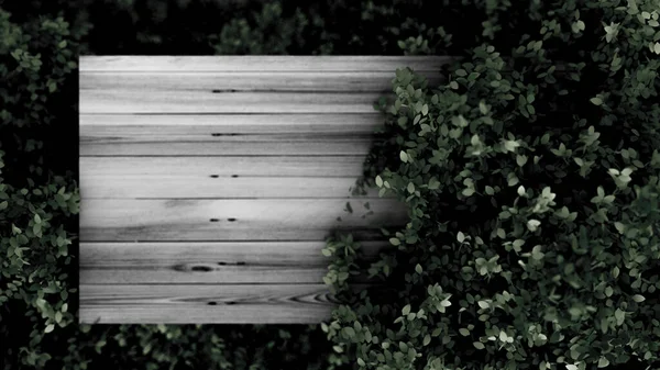 Прекрасний Літній Фон Листям Білим Простором Візуалізація Ілюстрація — стокове фото