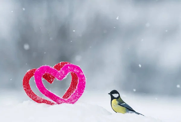 cute bird bird and frame of love in form of red and pink hearts