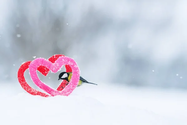 cute bird bird and frame of love in form of red and pink hearts