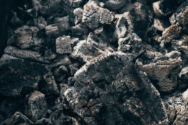 yanmış kamp ateşi sonra siyah köz