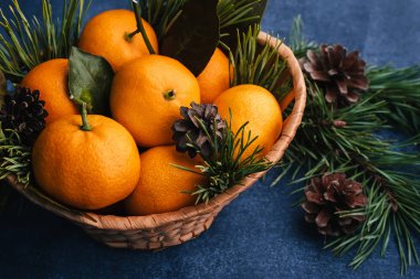 Mandalina ahşap sepet ve çam kozalakları ve dalları