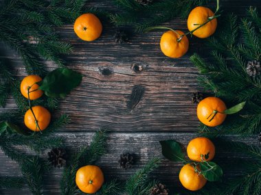 Mandalina, çam dalları ve çam kozalakları Noel arka plan. Kış tatil çerçeve