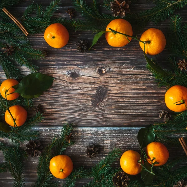 Mandalina ve çam dalları, çam kozalakları ile Noel arka plan — Stok fotoğraf