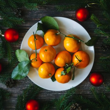 Mandalina ve çam dalları, kırmızı top. Noel Kış arka plan