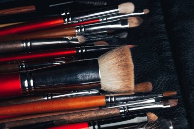 profesyonel makyaj fırçaları deri siyah çanta içinde ayarla