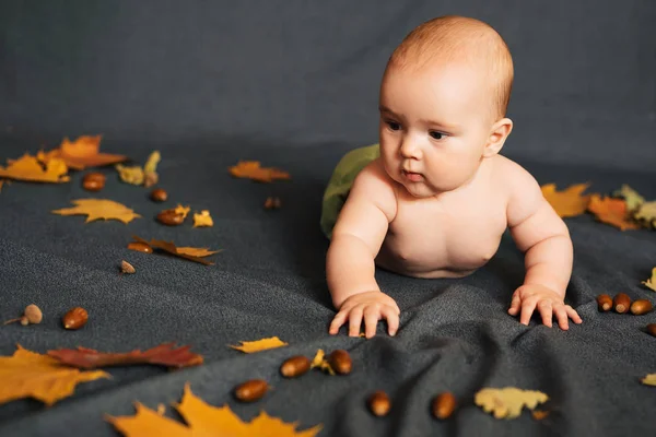 Újszülött kisfiú fekszik az őszi háttér — Stock Fotó