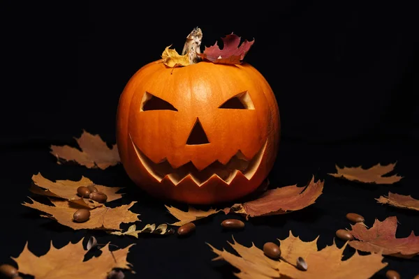 Halloween Composition Autumn Leaves — Stock Photo, Image