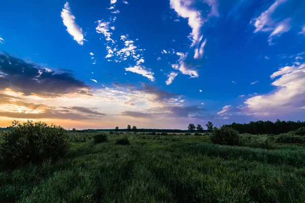 Paisaje de verano en un campo con amanecer o atardecer y rayos de sol en un cielo nublado y prado — Foto de Stock