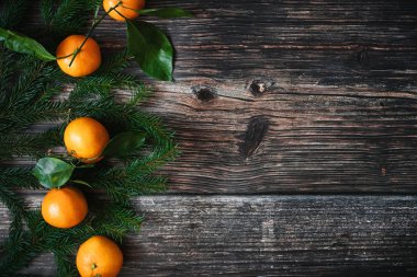 Mandarins dekoratif Noel çerçevesi, köknar dalları. Kopyalama alanı ile kış arka plan