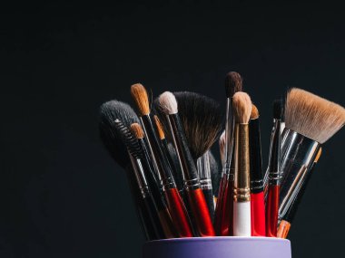 profesyonel makyaj fırçaları koyu arka plan üzerinde ayarla