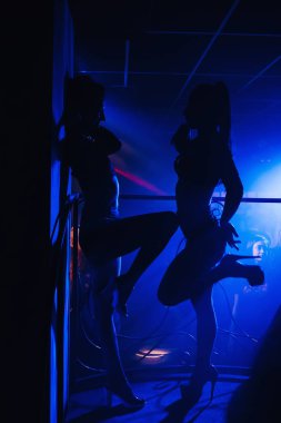 kız dansçı bir gece kulübünde sahneye poz