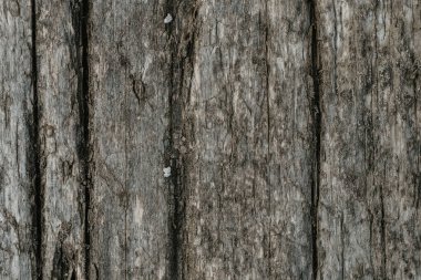 doğal ahşap Kurulu doku