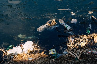 Vichuga, Rusya - 21 Nisan 2019: Suve nehir kıyısında plastik şişe ve torbalardan çeşitli çöp ve çöpler