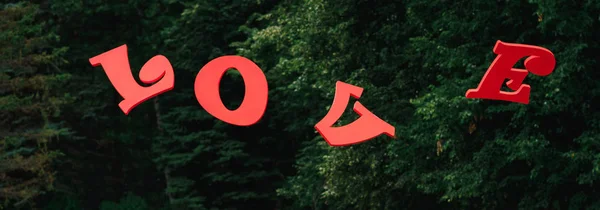 Vermelho letras de madeira amor no fundo da floresta — Fotografia de Stock