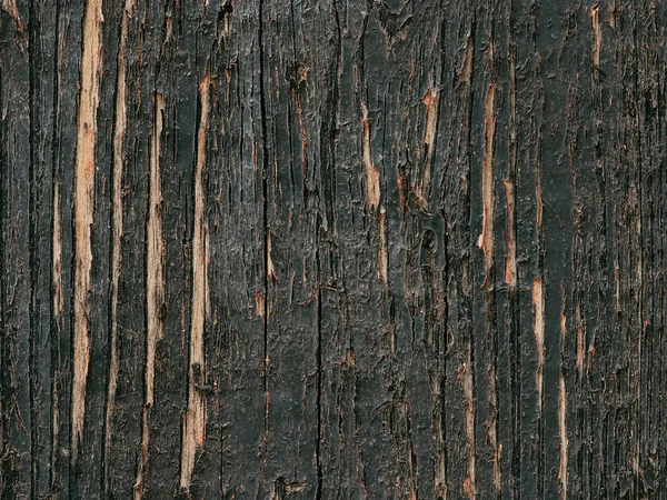 Textuur van natuurlijke houten plank — Stockfoto