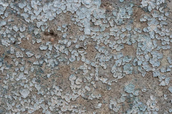 Textura de concreto pintado velho com rachaduras — Fotografia de Stock