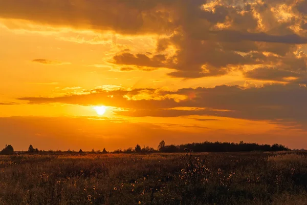 Krajobraz ze złotym zachodem słońca jesienią w polu — Zdjęcie stockowe