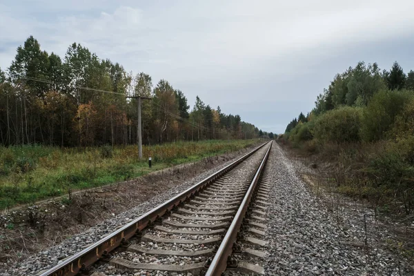 Old railway in forest on cloudy autumn — Stock Photo, Image