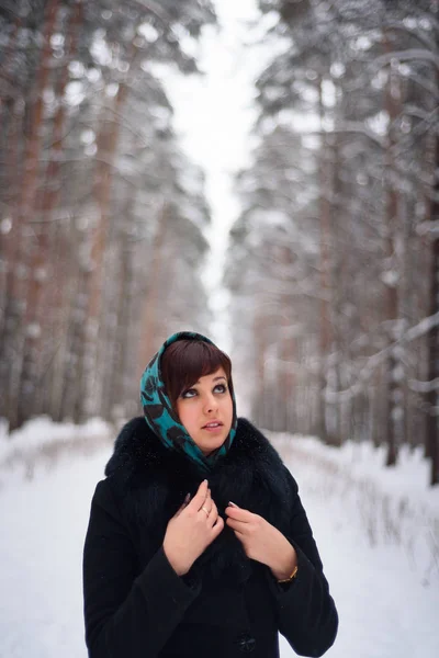 Chica rusa en abrigo y bufanda en invierno frío —  Fotos de Stock