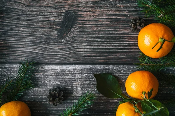 Mandalina, çam dalları ve çam kozalakları Noel arka plan. Tarçın, Yıldız anason ve kopya alanı kış tatil çerçeve. Düz yatıyordu üstten görünüm