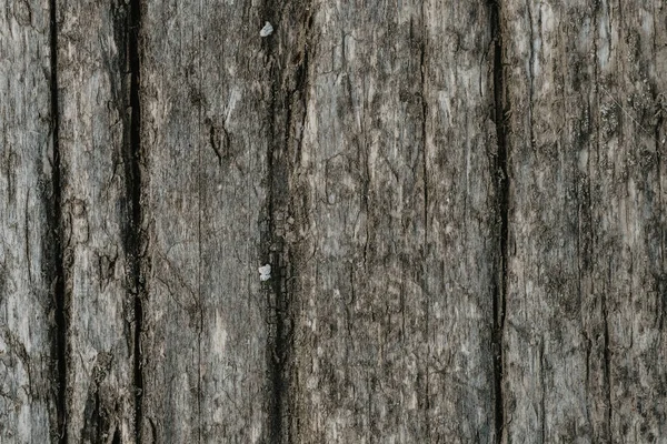 Textuur van natuurlijke houten plank — Stockfoto