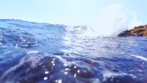 समुद्र में समुद्री शैवाल और नीले पानी के साथ एक्शन कैमरा पर एक डाइवर की आंखों के साथ — स्टॉक वीडियो
