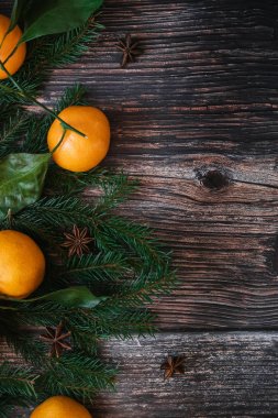 Mandarins dekoratif Noel çerçevesi, köknar dalları, yıldız anason. Kopyalama alanı ile kış arka plan