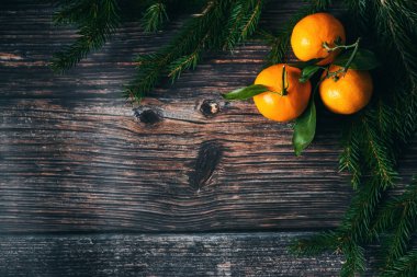 Mandalina, çam dalları ve çam kozalakları Noel arka plan. Tarçın, Yıldız anason ve kopya alanı kış tatil çerçeve. Düz yatıyordu üstten görünüm