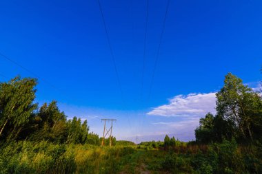 bir yaz gününde ormanda yüksek gerilim güç hattı