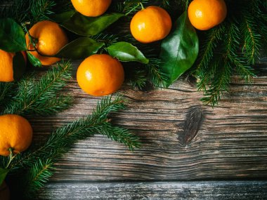 Mandalina, çam dalları ve çam kozalakları Noel arka plan. Tarçın, Yıldız anason ve kopya alanı kış tatil çerçeve. Düz yatıyordu üstten görünüm