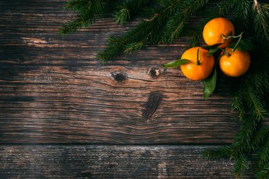 Mandalina, çam dalları ve çam kozalakları Noel arka plan. Tarçın, Yıldız anason ve kopya alanı kış tatil çerçeve. Düz yatıyordu üstten görünüm