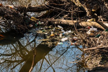 Vichuga, Rusya - 21 Nisan 2019: Plastik şişeler ve diğer çöp kirlenmesi su ve nehir kıyısı