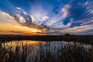 göletin suyunda gün batımı ve güneş ışınlarının yansıması ile yaz manzara