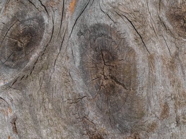 doğal ahşap Kurulu doku