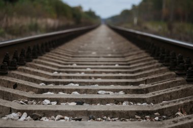 bulutlu sonbaharda ormanda eski demiryolu