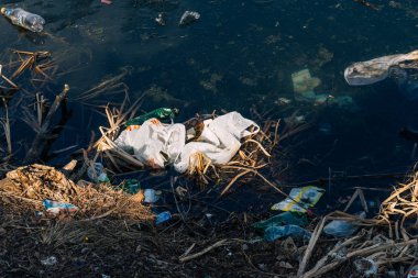 Vichuga, Rusya - 21 Nisan 2019: Suve nehir kıyısında plastik şişe ve torbalardan çeşitli çöp ve çöpler