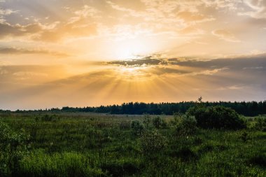 çayır üzerinde yaz aylarında şafak veya gün batımında Altın gökyüzünde turuncu sarı güneş ışınları