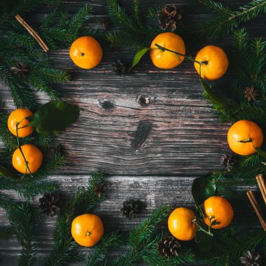 Mandalina, çam dalları ve çam kozalakları Noel arka plan. Tarçın, Yıldız anason ve kopya alanı kış tatil çerçeve. Düz yatıyordu üstten görünüm