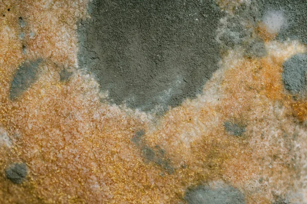 Pão mofado estragado com esporos do fungo closeup. Macro penicilina — Fotografia de Stock