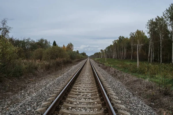 Παλιό σιδηρόδρομο σε δάση σε συννεφιασμένο φθινόπωρο — Φωτογραφία Αρχείου