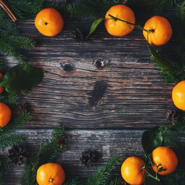 Mandalina, çam dalları ve çam kozalakları Noel arka plan. Tarçın, Yıldız anason ve kopya alanı kış tatil çerçeve. Düz yatıyordu üstten görünüm