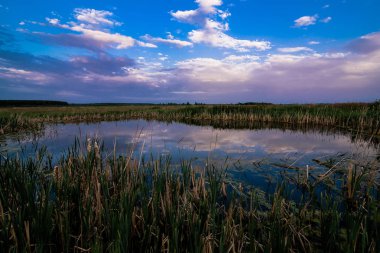 su da gökyüzünün güzel bir yansıması ile alanında bir gölet ile yaz manzara